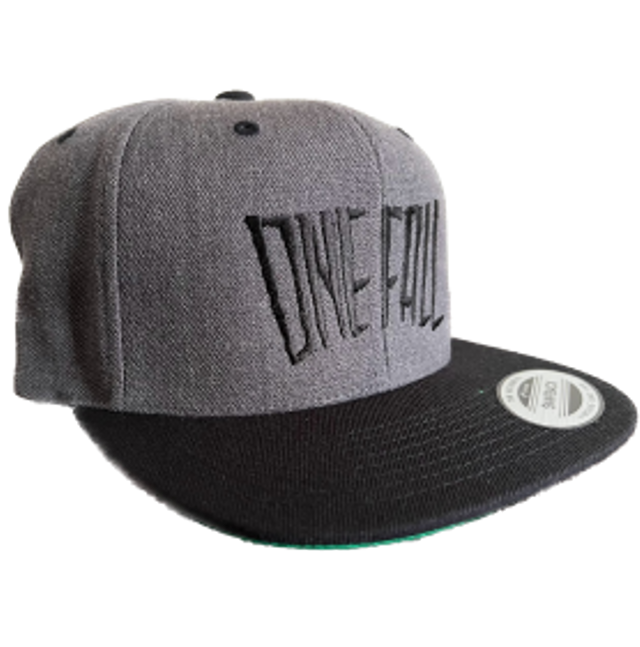 One Fall Logo Snapback Hat